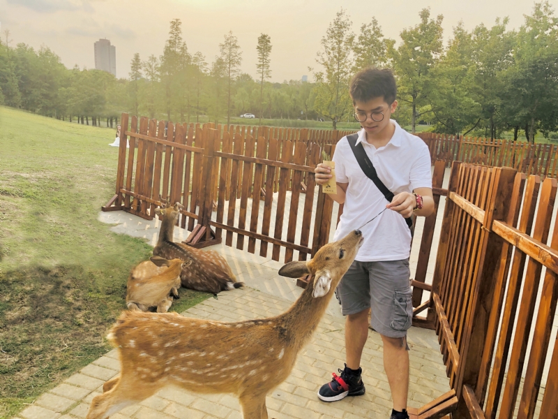 米兰的小铁匠的第一张照片--罗源征婚网