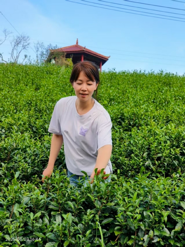 Q绮芳的第一张照片--罗源征婚网